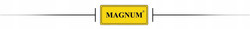 MAGNUM SPAWARKA MIG 250/2 DUAL PULS SYNERGIA