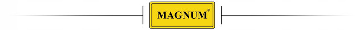 MAGNUM SPAWARKA MIG 250/2 DUAL PULS SYNERGIA