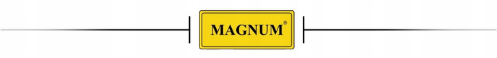 MAGNUM SPAWARKA MIG 250/2 DUAL PULS SYNERGIA