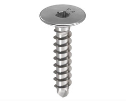 Wkręt do haftr 4,9 mm, główka płaska, gniazdo TX 20, gwint pełny, stal nierdzewna A2, 200 sztuk